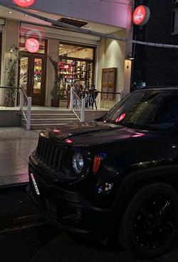 جيب رينيجيد